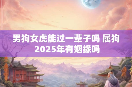 男狗女虎能过一辈子吗 属狗 2025年有姻缘吗