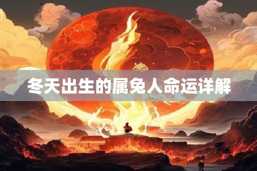 冬天出生的属兔人命运详解