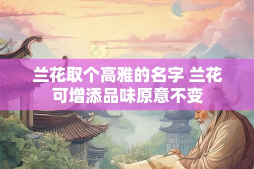 兰花取个高雅的名字 兰花可增添品味原意不变