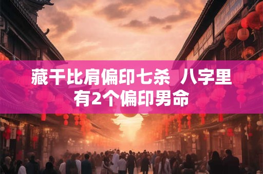 藏干比肩偏印七杀  八字里有2个偏印男命