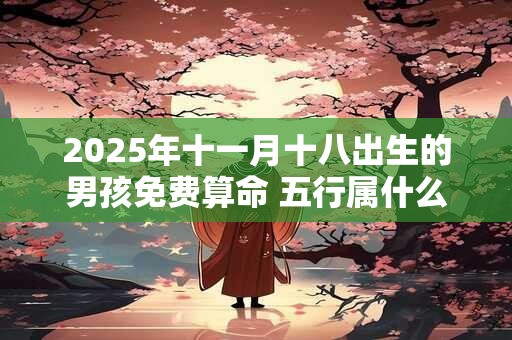 2025年十一月十八出生的男孩免费算命 五行属什么
