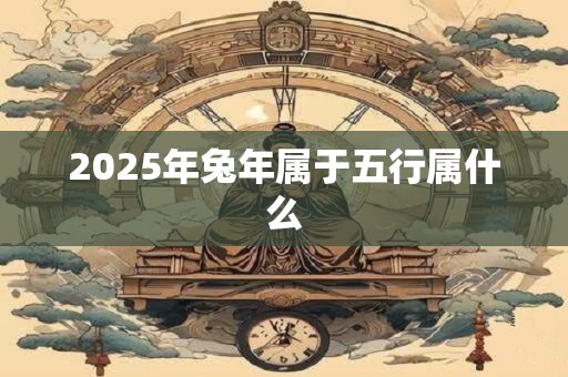 2025年兔年属于五行属什么