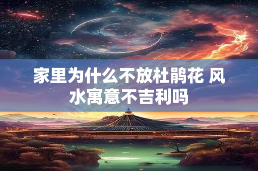 家里为什么不放杜鹃花 风水寓意不吉利吗