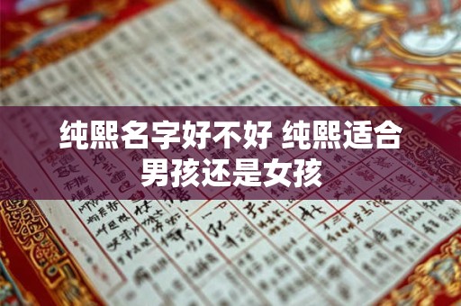 纯熙名字好不好 纯熙适合男孩还是女孩