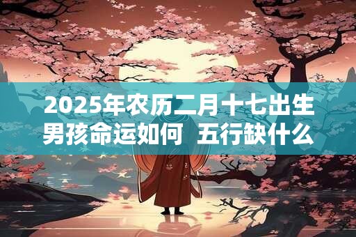 2025年农历二月十七出生男孩命运如何  五行缺什么