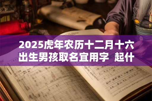 2025虎年农历十二月十六出生男孩取名宜用字  起什么名字好
