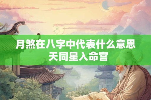 月煞在八字中代表什么意思  天同星入命宫