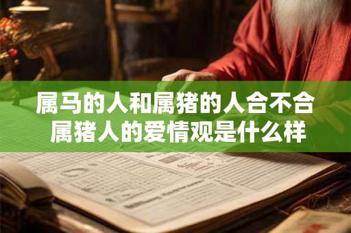 属马的人和属猪的人合不合 属猪人的爱情观是什么样