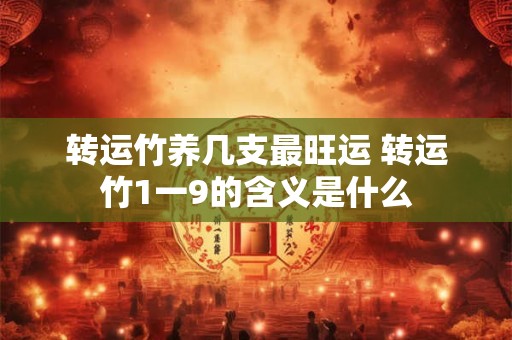 转运竹养几支最旺运 转运竹1一9的含义是什么 转运竹养几支最旺运 转运竹1一9的含义是什么