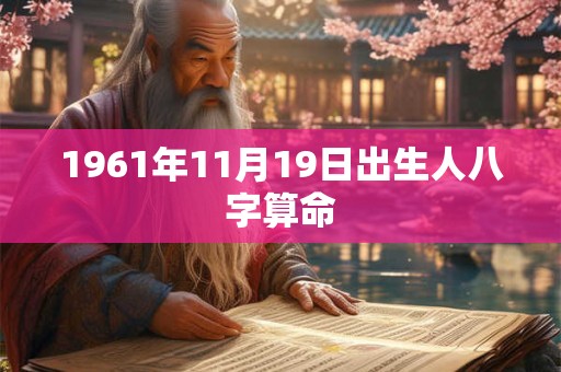 1961年11月19日出生人八字算命