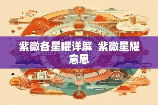 紫微各星曜详解  紫微星耀意思