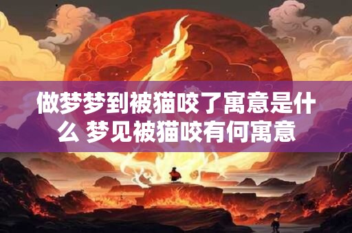 做梦梦到被猫咬了寓意是什么 梦见被猫咬有何寓意