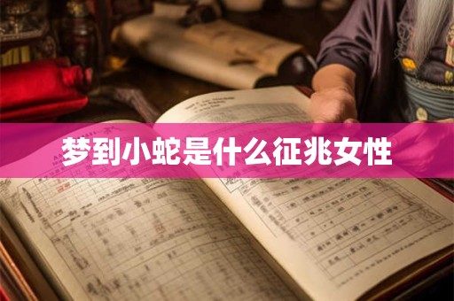 梦到小蛇是什么征兆女性