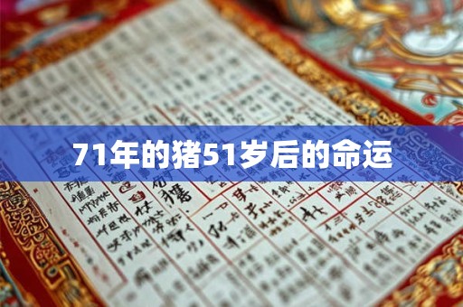71年的猪51岁后的命运