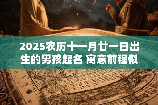 2025农历十一月廿一日出生的男孩起名 寓意前程似锦名字