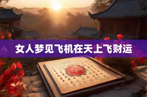 女人梦见飞机在天上飞财运