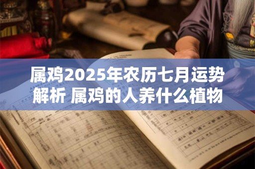 属鸡2026年农历七月运势解析 属鸡的人养什么植物好