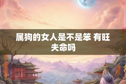 属狗的女人是不是笨 有旺夫命吗
