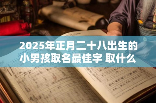 2025年正月二十八出生的小男孩取名最佳字 取什么名字好