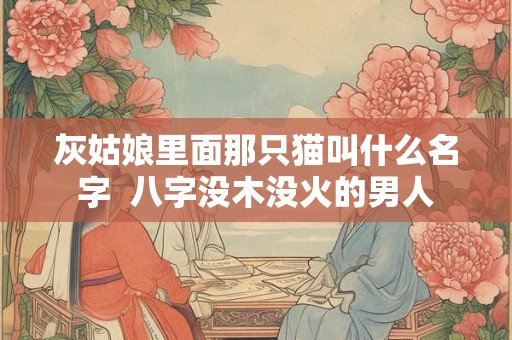 灰姑娘里面那只猫叫什么名字  八字没木没火的男人