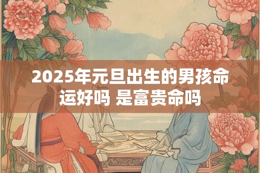 2025年元旦出生的男孩命运好吗 是富贵命吗