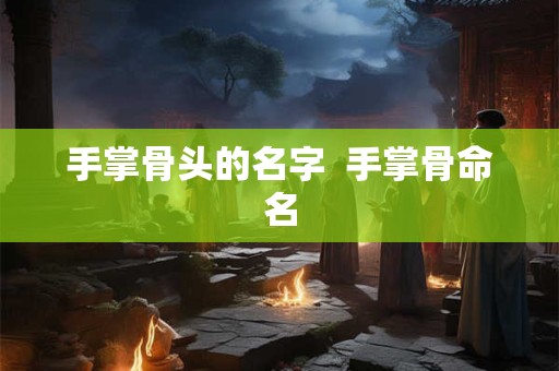 手掌骨头的名字  手掌骨命名