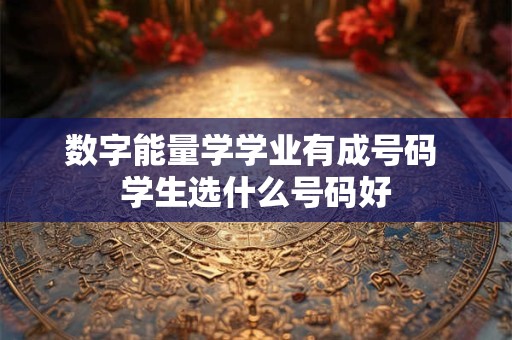数字能量学学业有成号码 学生选什么号码好
