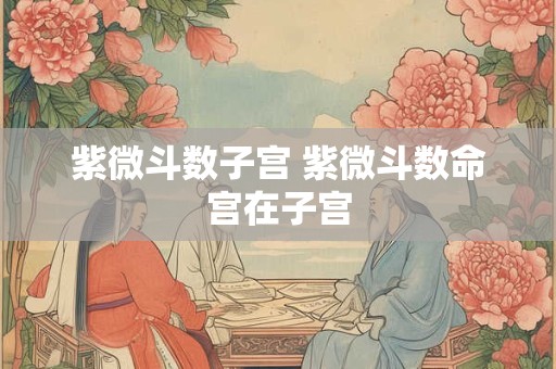 紫微斗数子宫 紫微斗数命宫在子宫