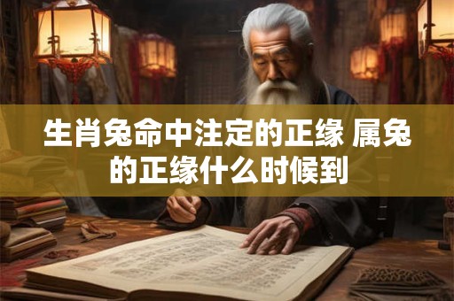 生肖兔命中注定的正缘 属兔的正缘什么时候到