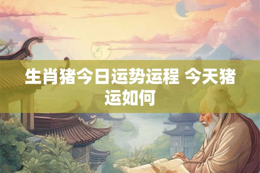 生肖猪今日运势运程 今天猪运如何