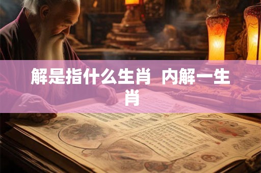 解是指什么生肖  内解一生肖