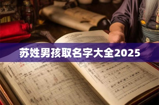 苏姓男孩取名字大全2025