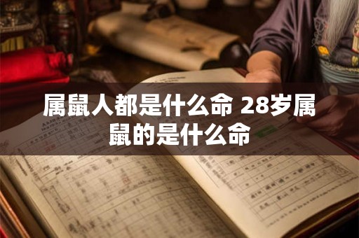 属鼠人都是什么命 28岁属鼠的是什么命 属鼠人都是什么命 28岁属鼠的是什么命