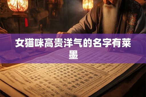 女猫咪高贵洋气的名字有莱墨