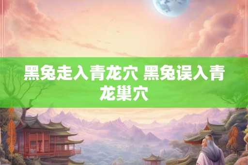 黑兔走入青龙穴 黑兔误入青龙巢穴