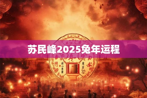 苏民峰2025兔年运程