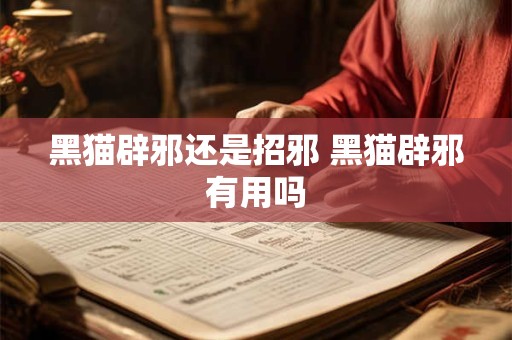 黑猫辟邪还是招邪 黑猫辟邪有用吗
