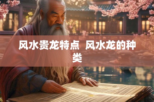 风水贵龙特点  风水龙的种类