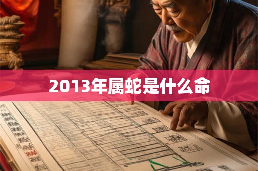 2013年属蛇是什么命 2013年属蛇是什么命