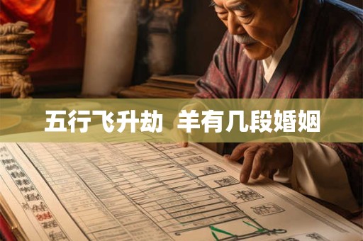 五行飞升劫  羊有几段婚姻