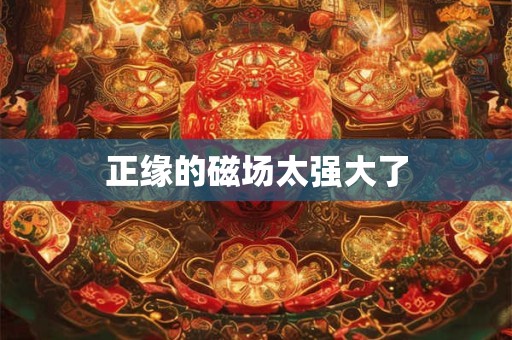 正缘的磁场太强大了