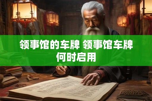 领事馆的车牌 领事馆车牌何时启用