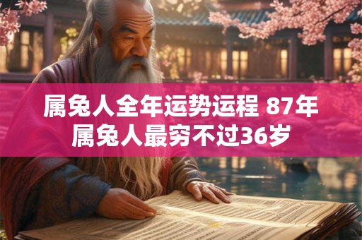 属兔人全年运势运程 87年属兔人最穷不过36岁