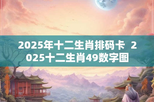 2025年十二生肖排码卡  2025十二生肖49数字图