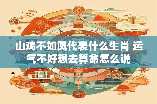 山鸡不如凤代表什么生肖 运气不好想去算命怎么说 山鸡不如凤代表什么生肖 运气不好想去算命怎么说