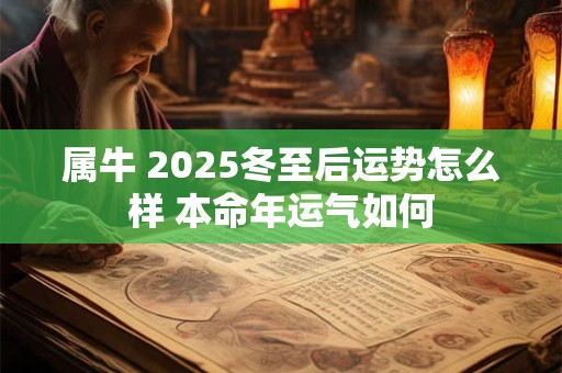 属牛 2025冬至后运势怎么样 本命年运气如何