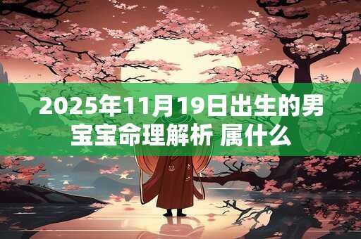 2025年11月19日出生的男宝宝命理解析 属什么