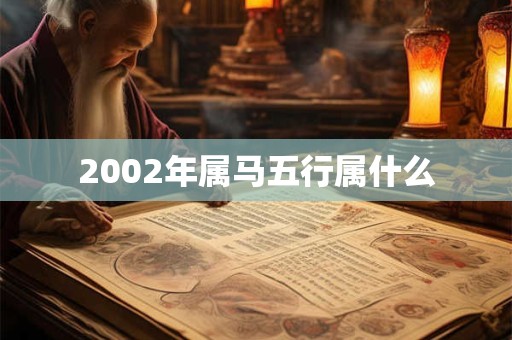 2002年属马五行属什么
