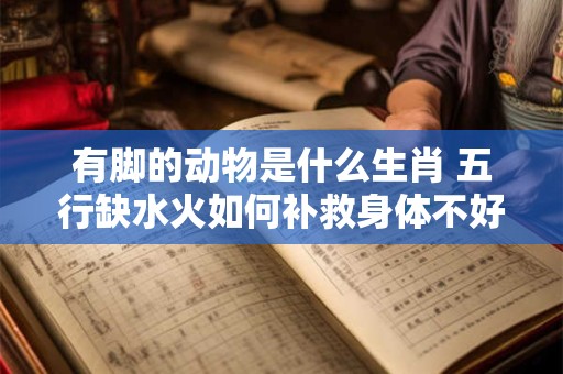 有脚的动物是什么生肖 五行缺水火如何补救身体不好