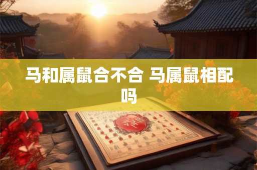马和属鼠合不合 马属鼠相配吗